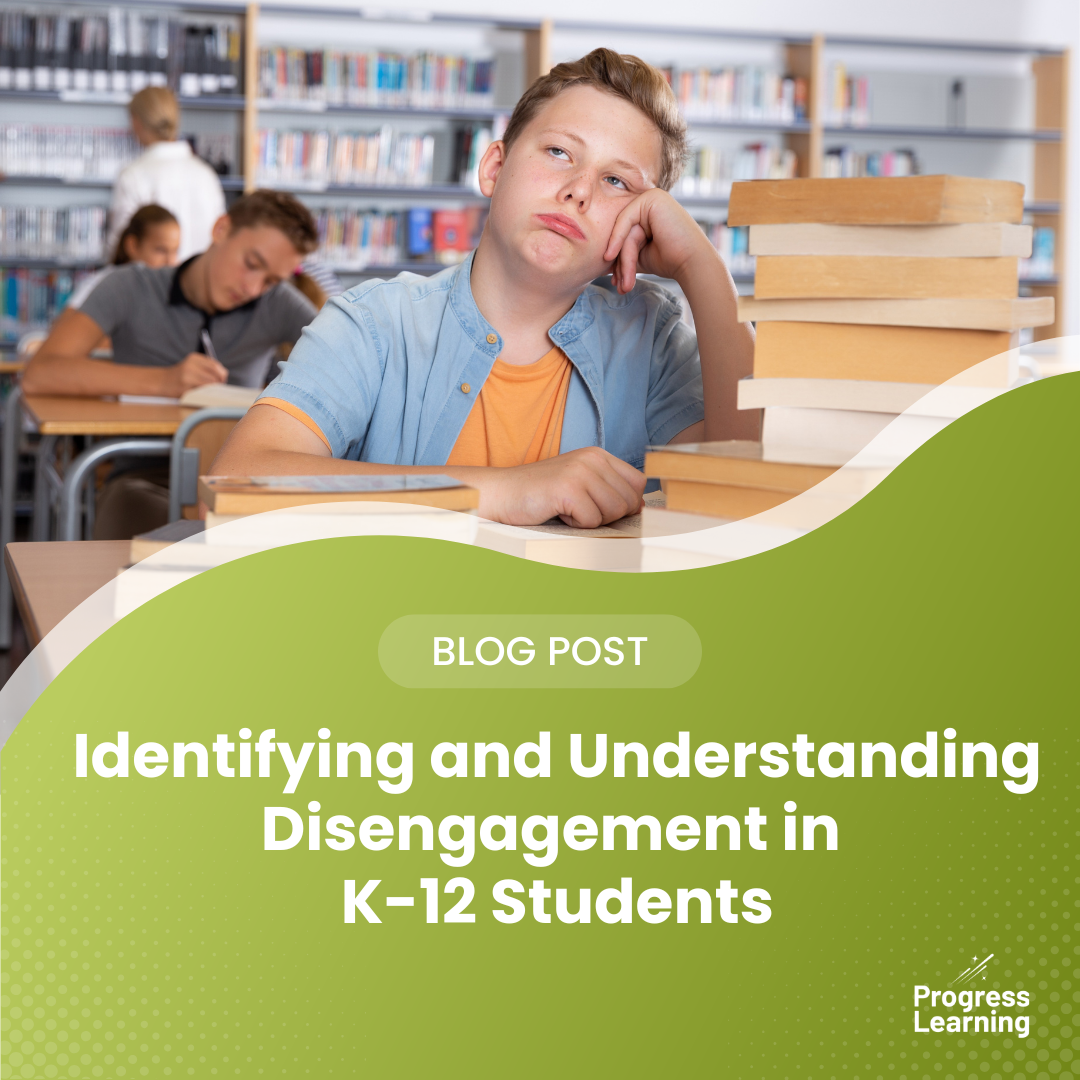 Identifying and Understanding Disengagement in K-12 Students